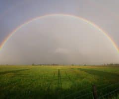 Le phénomène de l’arc-en-ciel