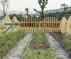 En juin, le travail au potager va bon train