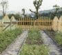 En juin, le travail au potager va bon train